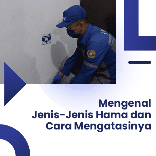 blog Mengenal Jenis-Jenis Hama dan Cara Mengatasinya