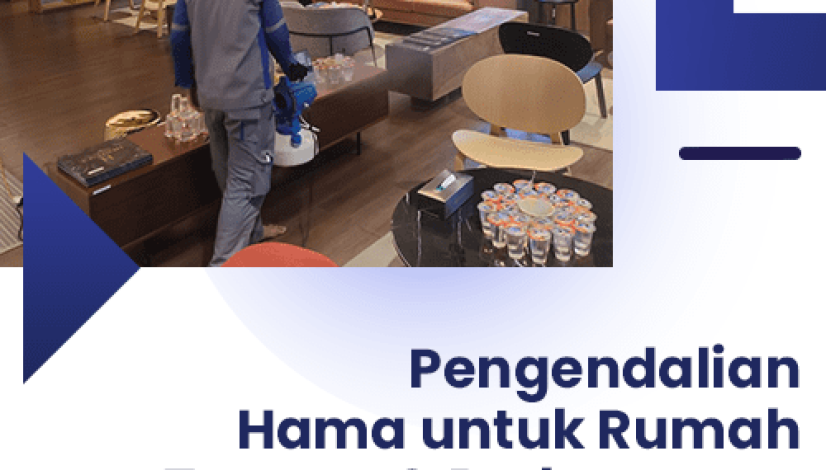 blog Pengendalian Hama untuk Rumah Tangga & Perkantoran