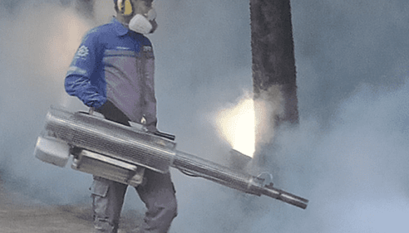 Jasa Pengendalian Rayap